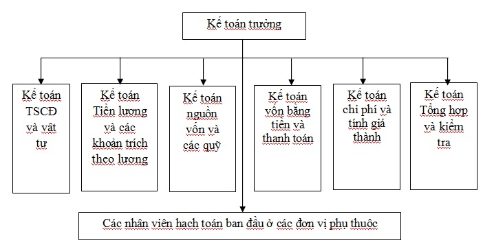 Có rất nhiều vị trí làm việc sinh viên ngành kế toán sau khi ra trường có thể đảm nhiệm