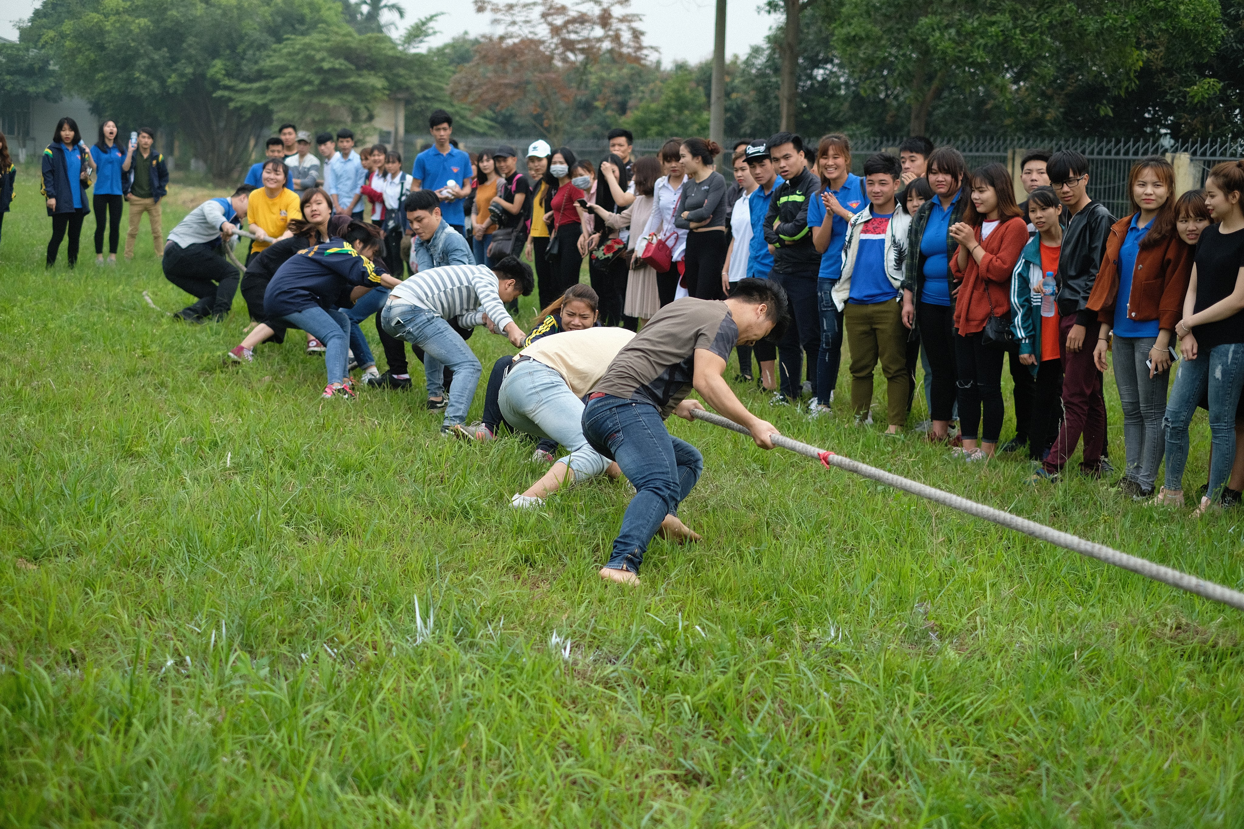 Cuộc thi kéo co