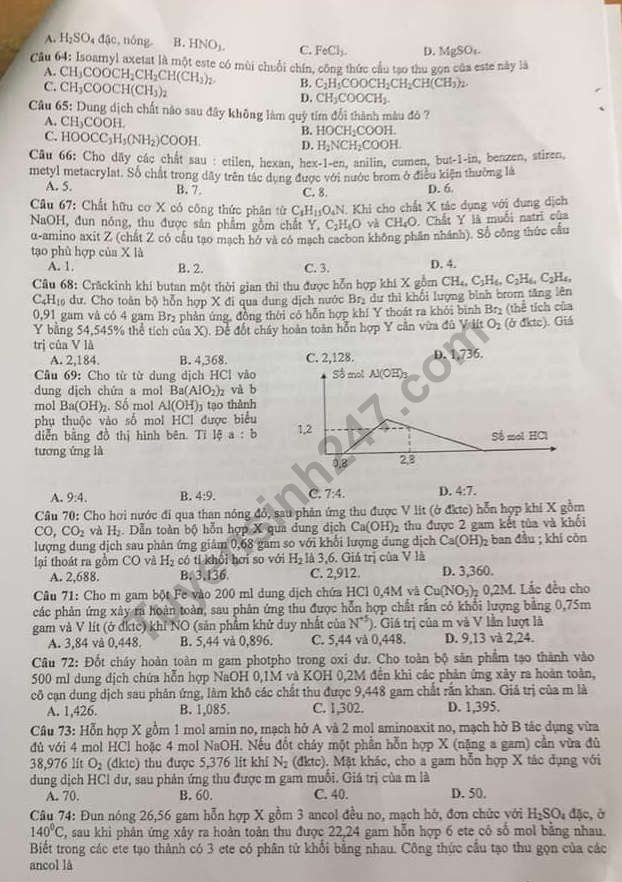 hoa-3-result