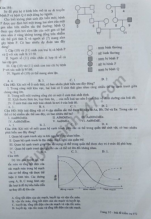 sinh-3-result